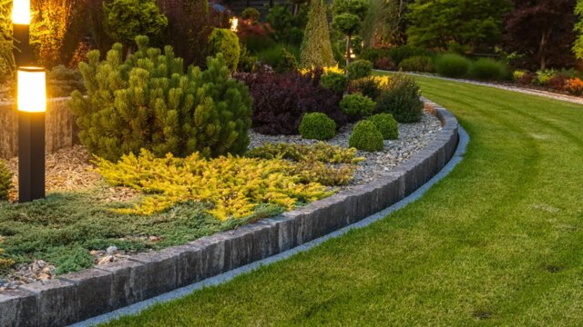 Home Decor and Garden